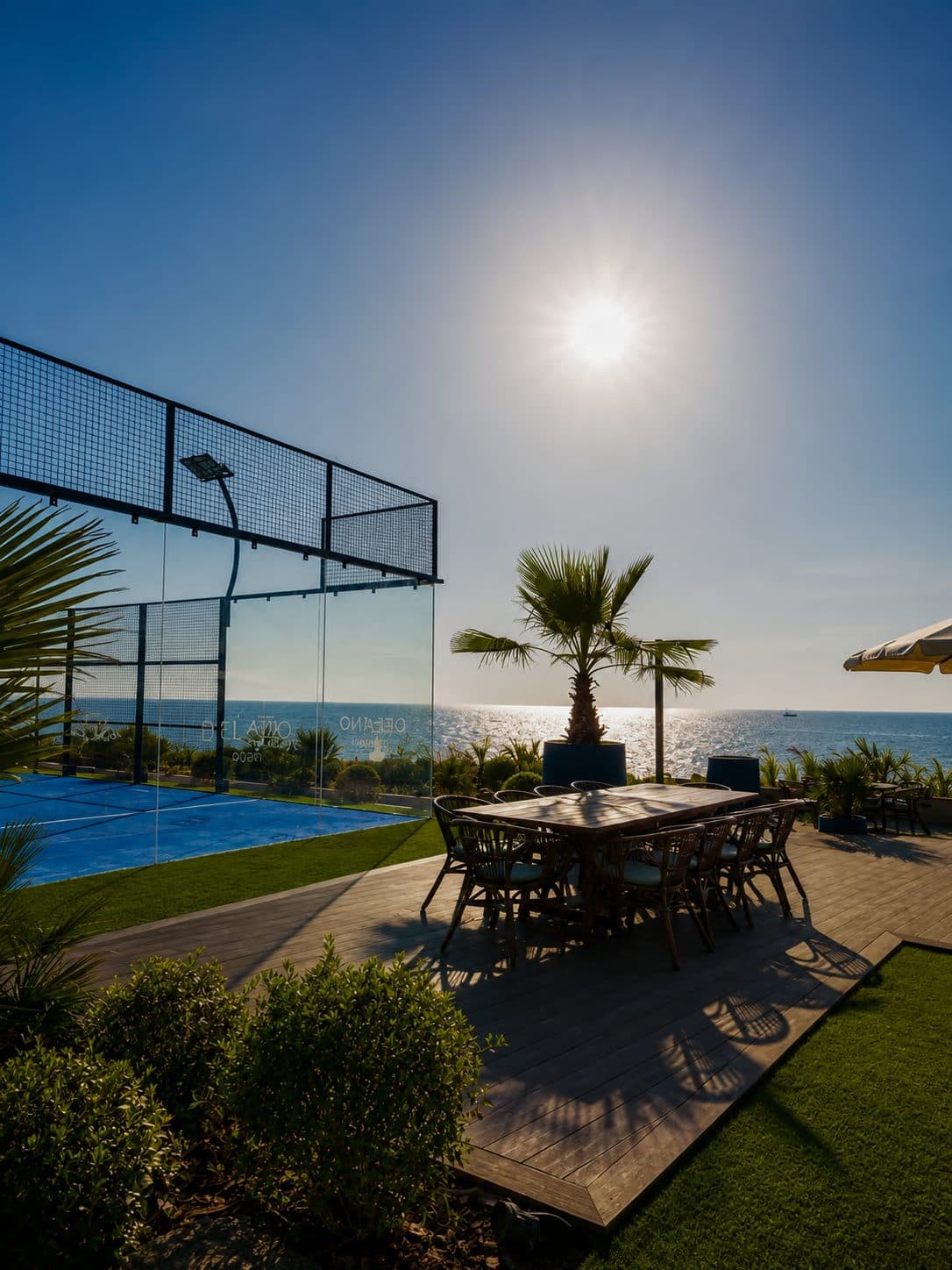 A padel court beside the sea, a palm in the foreground